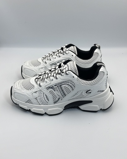 DIOR CHRONO SHOES